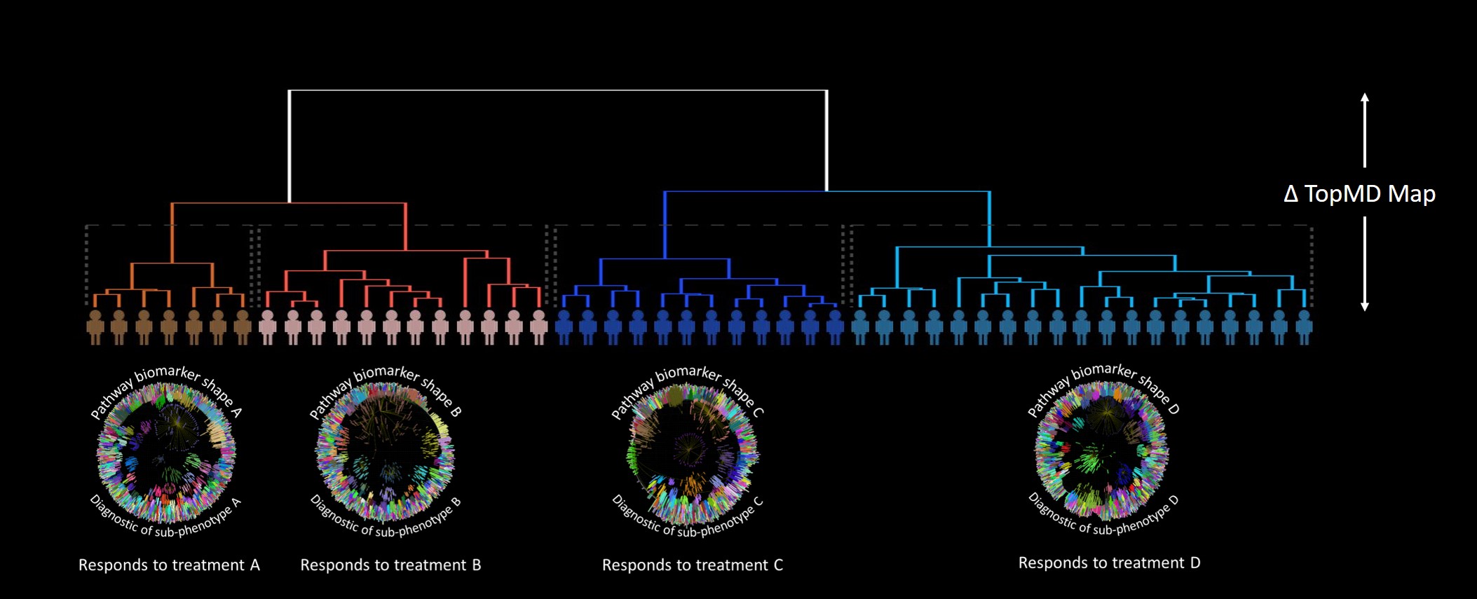 stratification